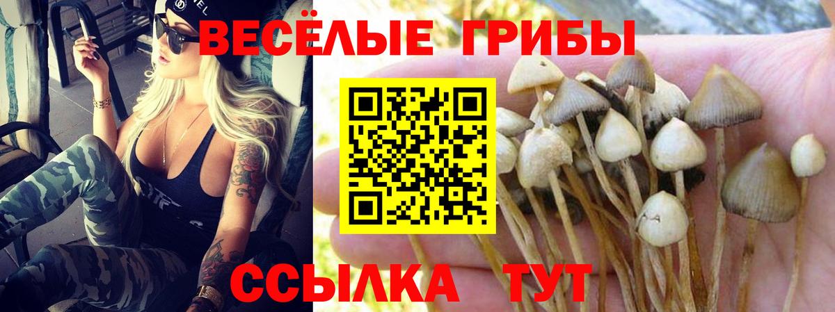 Метадон Иваново