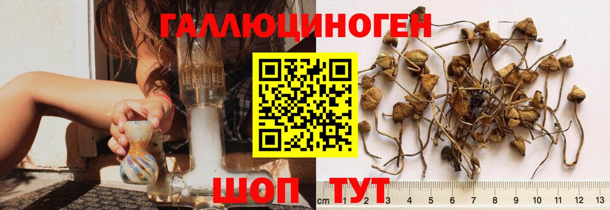 Псилоцибиновые грибы мухоморы  Вход с VPN  Иваново 